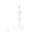 NEOMOUNTS BY NEWSTAR AFLS-825WH1 Floor Accessory White - nr 42