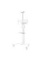 NEOMOUNTS BY NEWSTAR AFLS-825WH1 Floor Accessory White - nr 50