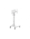 NEOMOUNTS BY NEWSTAR FL50S-825WH1 Floor Stand White - nr 25