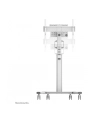 NEOMOUNTS BY NEWSTAR FL50S-825WH1 Floor Stand White - nr 53