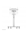 NEOMOUNTS BY NEWSTAR FL50S-825WH1 Floor Stand White - nr 72