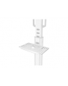 NEOMOUNTS BY NEWSTAR AFLS-825WH1 Floor Accessory White - nr 18