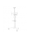 NEOMOUNTS BY NEWSTAR AFLS-825WH1 Floor Accessory White - nr 48