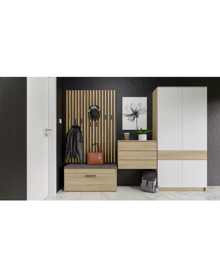 top e shop Szafka na buty ze schowkiem PARMA 100x35xH49 sonoma główny