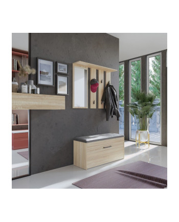 top e shop Garderoba PARMA 100x35xH180 sonoma nr 1