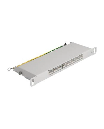 DeLOCK 10  patch panel 8 port Cat.6A (grey, 0.5 U)