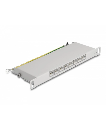 DeLOCK 10  patch panel 8 port Cat.6A (grey, 0.5 U)