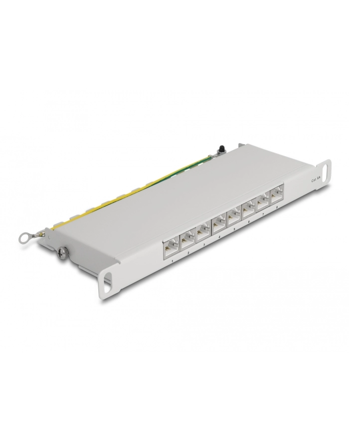 DeLOCK 10  patch panel 8 port Cat.6A (grey, 0.5 U) główny