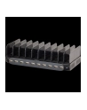 Lindy 10 port USB charging station (Kolor: CZARNY, charges up to 10 tablets and/or smartphones simultaneously) - nr 31