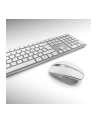 D-E layout - CHERRY DW 9100 SLIM, desktop set (Kolor: BIAŁY/silver, SX scissor technology) - nr 66