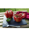 zwilling Mini Cocotte okrągły papryka STAUB 40500-325-0 - czerwony 470 ml - nr 10