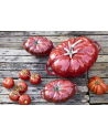 zwilling Garnek żeliwny owalny pomidor STAUB 40511-774-0 - czerwony 25 ltr - nr 5