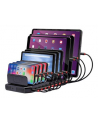 Lindy 10 port USB charging station (Kolor: CZARNY, charges up to 10 tablets and/or smartphones simultaneously) - nr 21