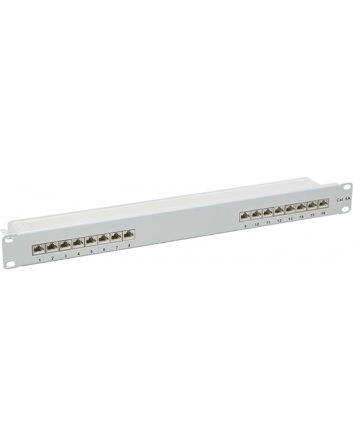 DeLOCK 19  patch panel 16 port Cat.6A (grey, 1 U) główny
