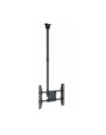 HAGOR PLD Large Single, ceiling mount (Kolor: CZARNY) - nr 13