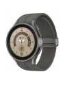 SAMSUNG Galaxy Watch5 Pro (R920), Smartwatch (titanium, 45 mm) - nr 31