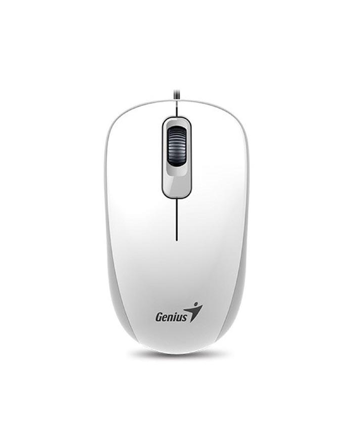 Mysz przewodowa Genius DX-110 White Elegant 1000 DPI główny