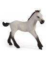 Schleich Horse Club fun with foals, toy figure - nr 4