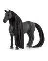 Schleich Horse Club Sofia's Beauties Criollo Definitivo mare, toy figure - nr 12