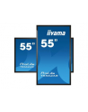 Iiyama Prolite T5562As-B1, 55'' (T5562Asb1) - nr 37