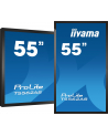 Iiyama Prolite T5562As-B1, 55'' (T5562Asb1) - nr 63