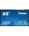 Iiyama Prolite T6562As-B1, 65'' (T6562Asb1) - nr 11