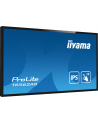 Iiyama Prolite T6562As-B1, 65'' (T6562Asb1) - nr 12