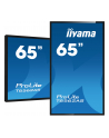 Iiyama Prolite T6562As-B1, 65'' (T6562Asb1) - nr 13