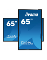 Iiyama Prolite T6562As-B1, 65'' (T6562Asb1) - nr 17