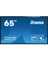 Iiyama Prolite T6562As-B1, 65'' (T6562Asb1) - nr 28