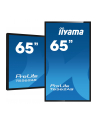 Iiyama Prolite T6562As-B1, 65'' (T6562Asb1) - nr 55