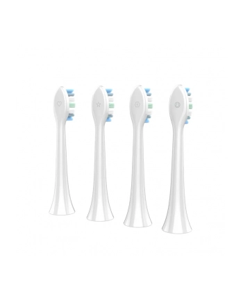 Aeno Szczoteczka Soniczna DB3 Biała AEN000001 nr 2