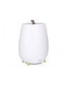 Duux Tag2 White DXHU15 - nr 17