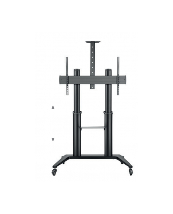 Hagor Hp Twin Stand Hd Stojak Mobilny Do Monitorów 55 84 | Max. Vesa 800X500Mm Udżwig 90Kg (8210)