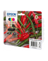 Epson 503XL Multipack - nr 17