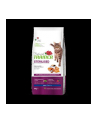 Trainer Natural Cat Sterilised Łosoś 10Kg - nr 1