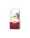 Trainer Natural Cat Adult Kurczak 10Kg - nr 1