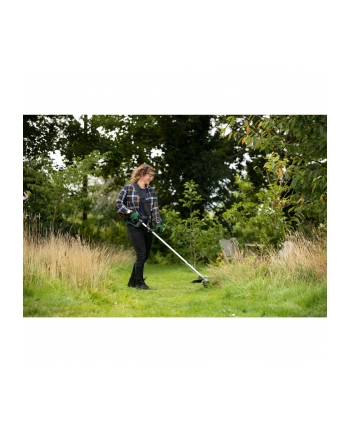 Bosch Advanced GrassCut 36V-33 06008C1K00 nr 1