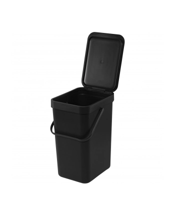 Brabantia Kosz Do Segregacji Sort & Go 12L Szary 10 98 05 (109805) nr 2