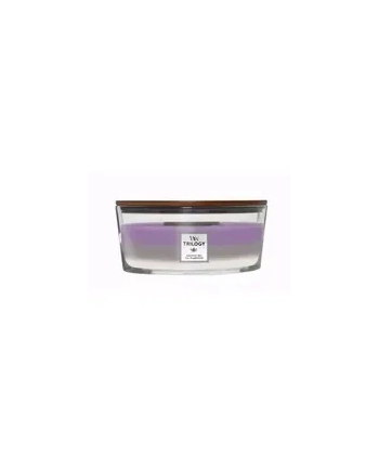 WoodWick Amethyst Sky elipsa 453,6g (1707525E) nr 1