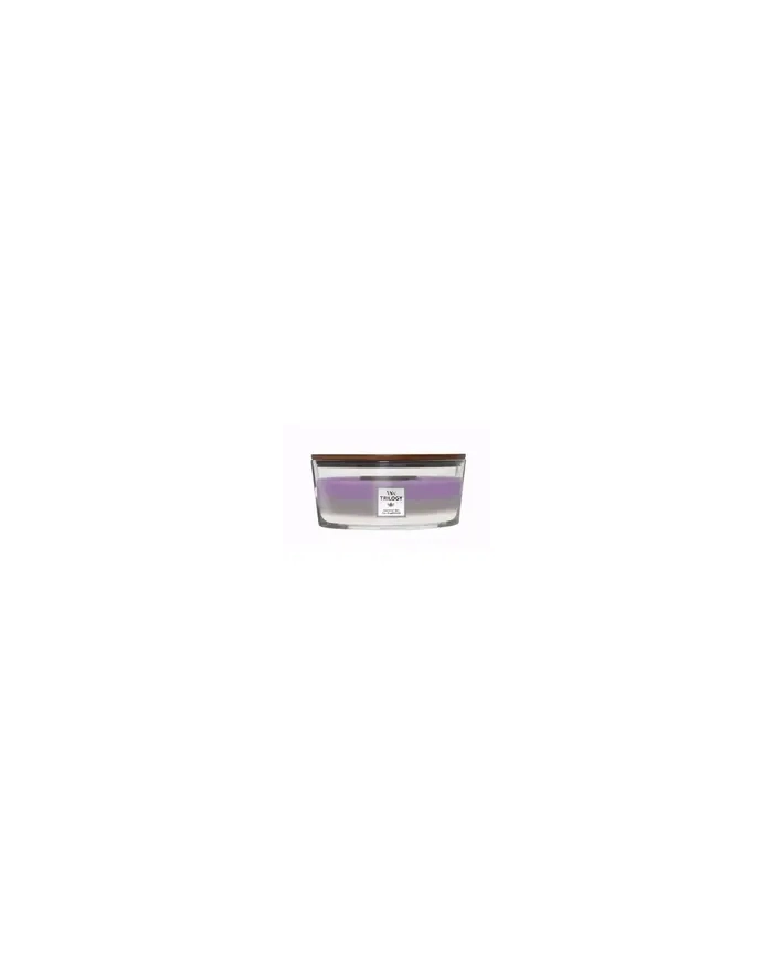 WoodWick Amethyst Sky elipsa 453,6g (1707525E) główny