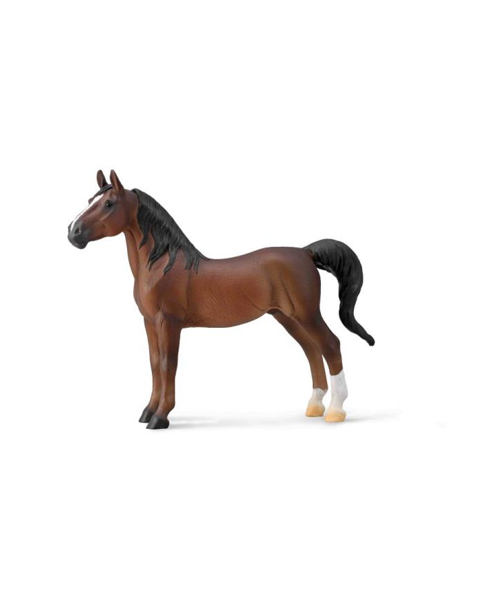 Koń ogier American Saddlebred kasztanowy 88954 COLLECTA główny