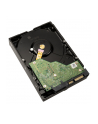 western digital Dysk 3,5 cala WD Red Plus 6TB CMR 256MB/5400RPM - nr 29