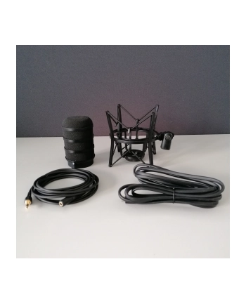 ROD-E XDM-100 USB-C Dynamiczny mikrofon z zaawansowanym DSP dla streamerów i graczy