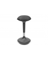 DIGITUS Standing Stool height-adjustable Kolor: CZARNY - nr 10