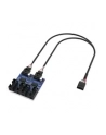 Akasa KABEL 1-TO-4 2.0, 300MM (0000057243) - nr 15