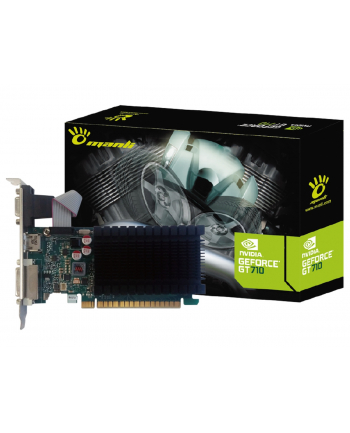 Karta graficzna Manli Man GeForce GT 710 2GB SDDR3 64bit LP