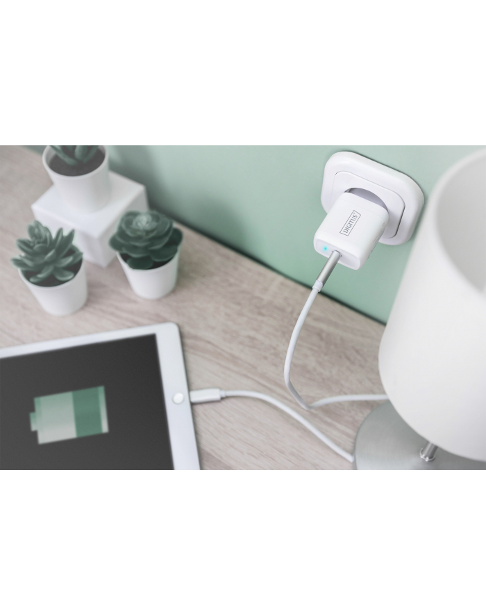 digitus Ładowarka sieciowa zasilacz 1x USB-C PD 3.0 max. 20W LED Biała główny