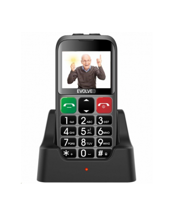 Telefon komórkowy dla seniorów z podstawką ładującą Evolveo EB Srebrny / EP-850-EBS brak PL menu