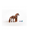 Schleich 42582 Piękna klacz pełnej krwi angielskiej Sofia's Beauties - nr 29